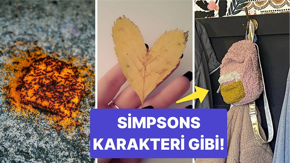 Tekrar Tekrar Bakma İsteği Uyandıracak Birbirinden İlginç 17 Fotoğraf