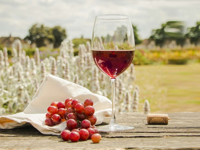 Top 7+1 Most Expensive Wines and How Much Do They Cost