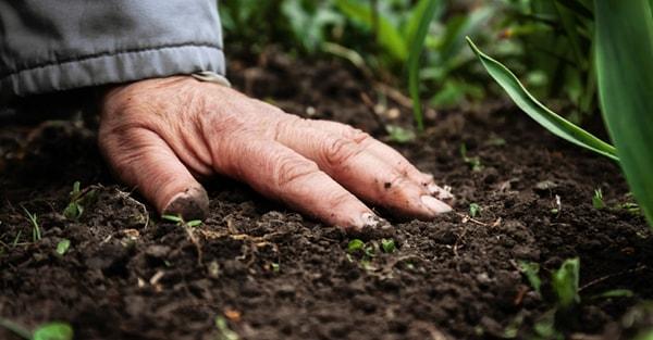 Eğer sağlıklı bir toprak oluştuysa ayağını yere sıkı basarsın ve kontrolcülüğü bırakırsın. Ve kıymetli bir toprağın içerisinde, kıymetli mineraller-elementler oluşur.