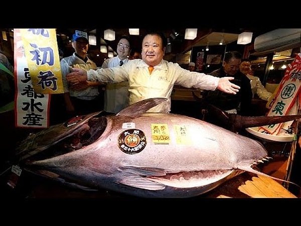 2017 yılında düzenlenen açık artırmayı hatırlarsanız Tsukiji balık pazarında gerçekleşmişti. Yine 212 kilo ağırlığında mavi yüzgeçli bir orkinos balığı o zamanlarda 72 milyon Yen'e satılmıştı. Fakat o dönem dövize çevrildiğinde 614 bin dolar ediyordu.