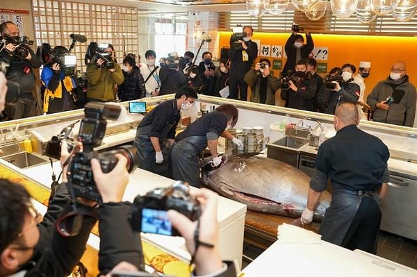 Japonya'nın başkenti Tokyo'da bulunan Toyosu balık pazarında, her yıl geleneksel olarak düzenlenen açık artırma bu yıl da ağızları açık bırakan görüntülere imza attı.