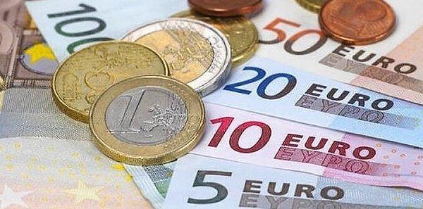 Aralık 2022'de euro, TL karşısında enflasyona karşı yüzde 2,89 getiri sağlarken, yıllık bazda yüzde 21,52 oranında kaybettirdi.