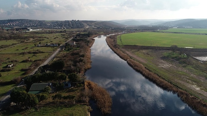 Riva Deresi Yine Karardı: Bakanlık İnceleme Yaptı