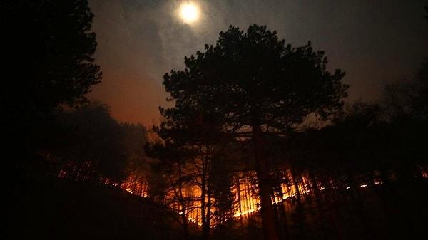 Kaz Dağları'nın Çanakkale'nin Bayramiç ilçesi sınırlarında yangın çıktı. Yangın ekiplerce kontrol altına alınmaya çalışılıyor.
