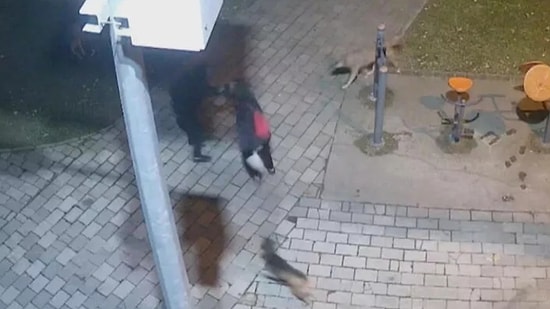 Parkta Köpeklere Silahla Ateş Etti: Hayvansever Kendini Siper Etti