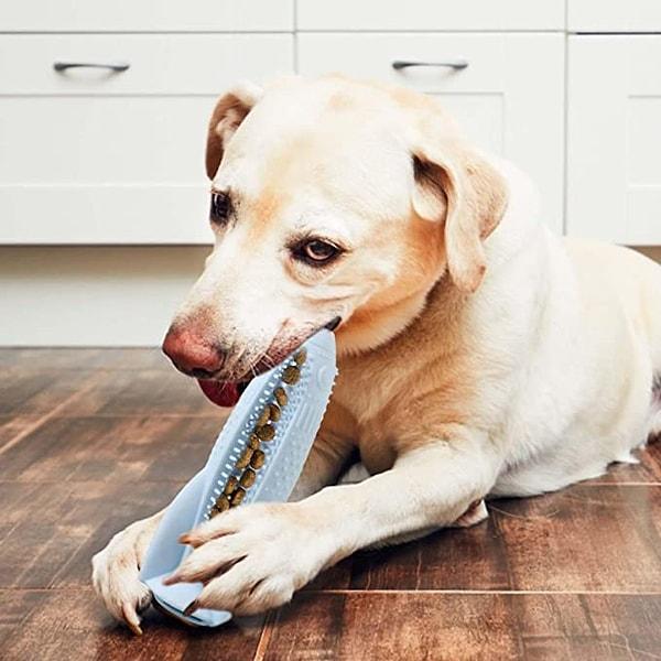 2. Yeme düzenleyici ve diş temizleyici silikon köpek oyuncağı: