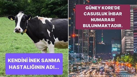 Öğrendiğiniz Andan İtibaren Bilgi Şöleninde Boğulacağınız Birbirinden İlginç Kültürel Gerçekler