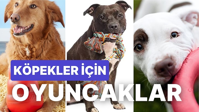 Evcil Dostunuz Olan Köpeğinizin İlgisini Çekecek ve Zekasınız Geliştirecek Birbirinden Güzel Oyuncaklar