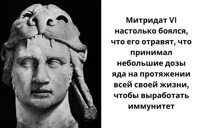 17 криповых фактов о том о сем из коллекции самого страшного аккаунта в Инстаграм