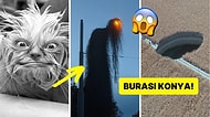 'Bugünlük Bu Kadar İnternet Yeter' Demenize Sebep Olacak Tuhaflıkta 17 Acayip Görsel