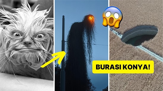 'Bugünlük Bu Kadar İnternet Yeter' Demenize Sebep Olacak Tuhaflıkta 17 Acayip Görsel