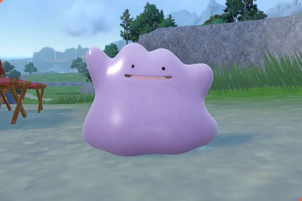 Ditto