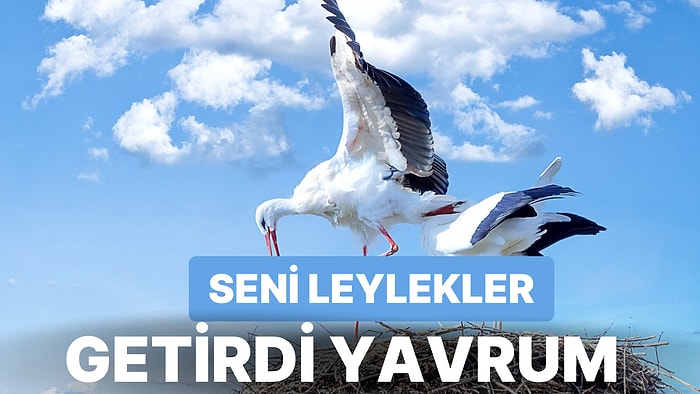 "Seni Leylekler Getirdi Yavrum" Hikayesinin Nereden Çıktığını Biliyor muydunuz?