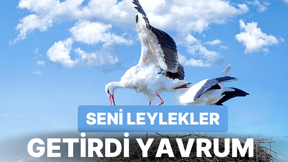 "Seni Leylekler Getirdi Yavrum" Hikayesinin Nereden Çıktığını Biliyor muydunuz?