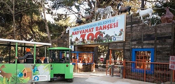 4. Antalya Hayvanat Bahçesi