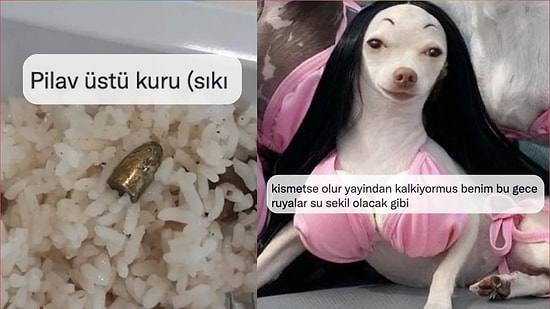 Küfürsüz de Komik Olunabileceğini Kanıtlayan Kadınlardan Haftanın En Çok Güldüren Tweetleri