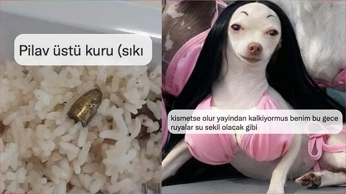 Küfürsüz de Komik Olunabileceğini Kanıtlayan Kadınlardan Haftanın En Çok Güldüren Tweetleri