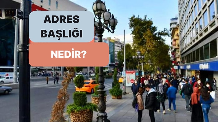 Bildirdiğiniz Adres Hangi Özellikte? Adres Başlığı Nedir?