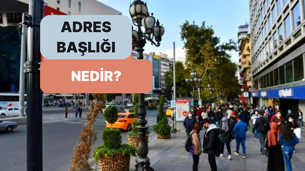 Bildirdiğiniz Adres Hangi Özellikte? Adres Başlığı Nedir?