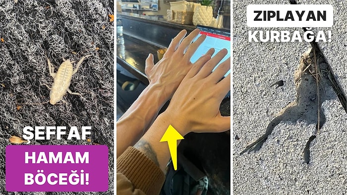 Tekrar Tekrar Bakma İsteği Uyandıracak Birbirinden İlginç 19 Fotoğraf