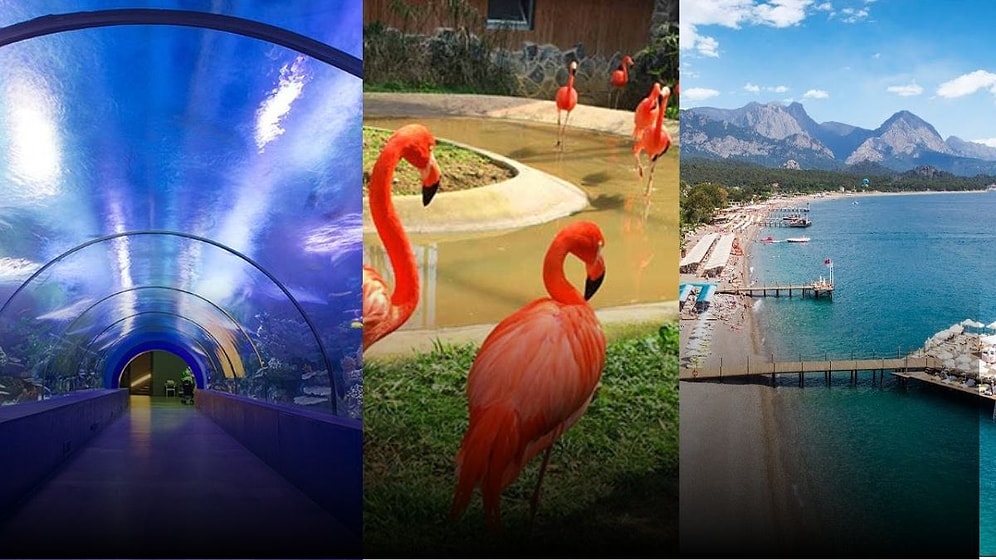 Çocuğunuzun Yeni Döneme Bomba Gibi Başlamasını Sağlayacak Bir Yarıyıl Tatili İçin Gitmeniz Gereken 9 Yer