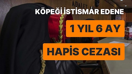 Köpeğe Cinsel İstismara 1,5 Yıl Hapis