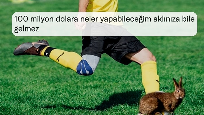 '100 Milyon Dolara Tavşan Tekmeler miydiniz?' Sorusuyla Gündem Olan Kullanıcıya Dumura Uğratan Cevaplar