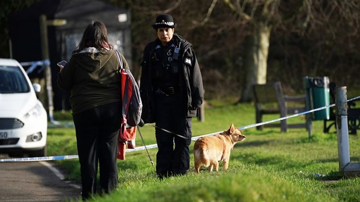 Köpek Gezdiricisinin Feci Sonu: 8 Köpeğin Saldırısına Uğradı