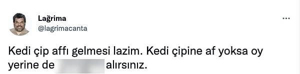 2. Kedilere çip taktırmak nasıl zorunlu olabilir, hala inanamayanlar...