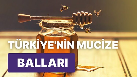 Faydaları Saymakla Bitmeyen Türkiye'nin En İyi Balları