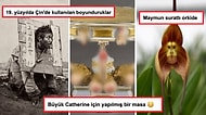Gördükten Sonra Dünyaya Bakış Açınızı Değiştirecek Her Biri Birbirinden Enteresan 17 Görsel