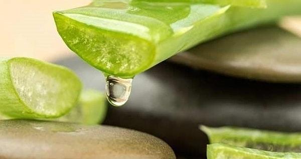 5. Bir aloe vera bitkisinin suyunu sıkın.
