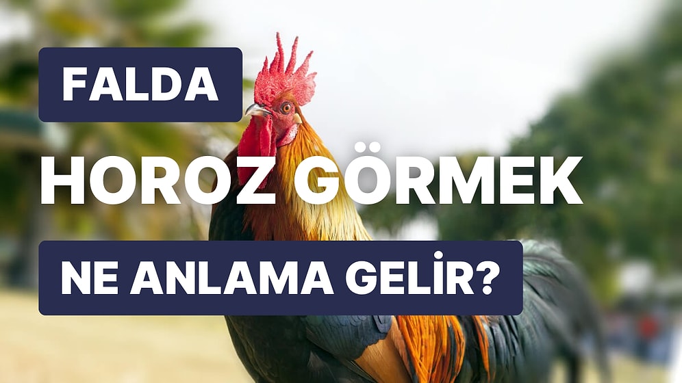 Falda Horoz Görmek Ne Demektir? Sabahın İlk Işıkları Size Hangi Haberleri Getiriyor?
