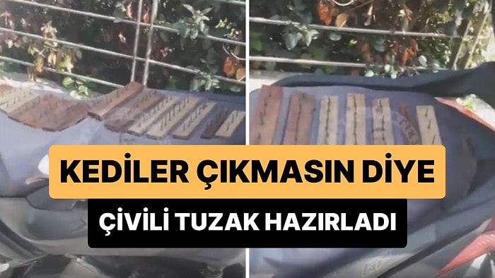 Kediler Motosikletin Üzerine Çıkmasın Diye Çivili Tuzak Hazırlayan Kişi Tepki Çekti