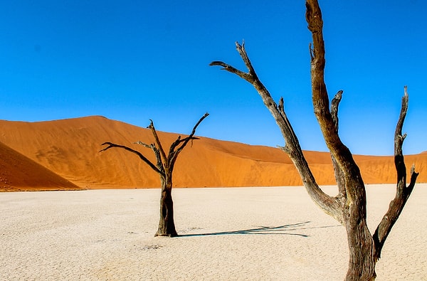 6. Третья часть всей Земли — пустыня. Кстати, а как называется самая большая пустыня в мире?