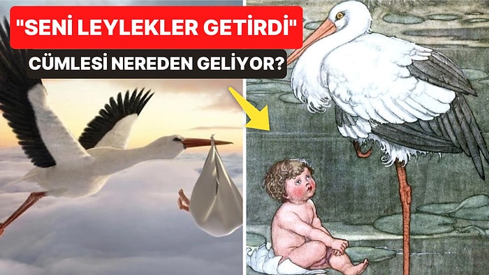 Bir Ebeveyn Uydurması Olarak "Seni Leylekler Getirdi" Yalanı Nereden Geliyor?