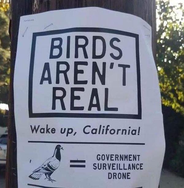 Kuşların gerçek olmadığına dair bir uyarı: