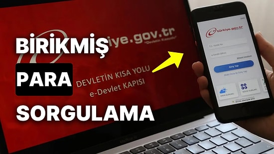 e-Devlet Bireysel Emeklilik Birikmiş Para Sorgulama: BES Parası Nasıl Çekilir?