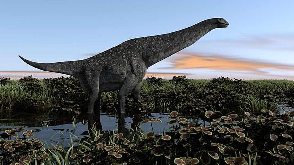 Titanozor olarak adlandırılan yeni dinozor, 40 metre uzunluğu ve 20 metre yüksekliği ile aynı zamanda dünya üzerinde yürümüş olan en büyük hayvan.