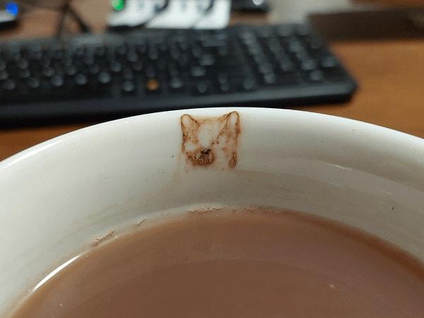 4. 'Kahvemin telvesi kedi şeklinde.'