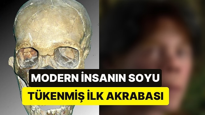 Bilim İnsanlarından Bir İlk: 30 Bin Yıl Önce Ölen Neandertal Çocuğun Yüzü Çıkarıldı