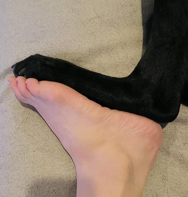 6. 'Köpeğimle ayaklarımızın boyutu aynı.'