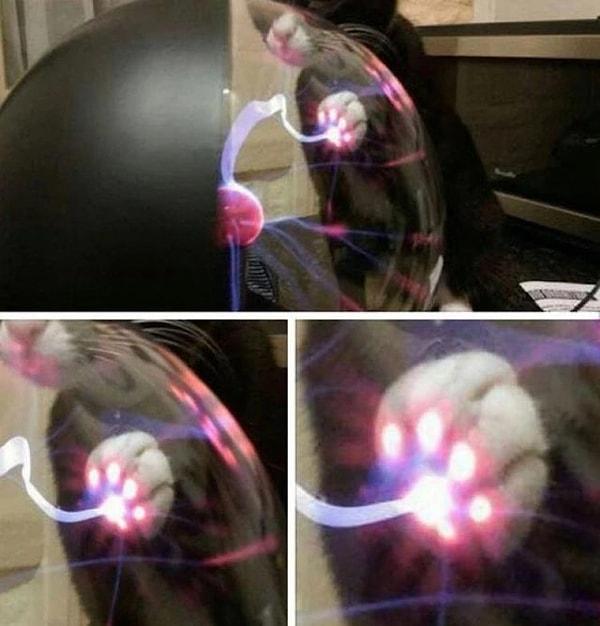 7. Plazma küreye dokunan kedinin patilerine bir bakın... 👇