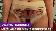 20'li Yaşlardan 50'li Yaşlara Genital Sağlık ve Hijyen Hakkında Mutlaka Bilmeniz Gereken Bilgiler