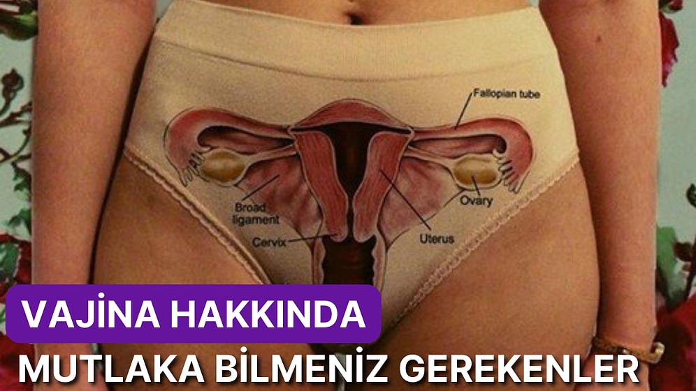 20'li Yaşlardan 50'li Yaşlara Genital Sağlık ve Hijyen Hakkında Mutlaka Bilmeniz Gereken Bilgiler