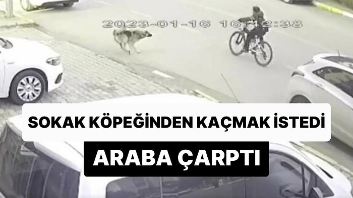 Sokak Köpeğinden Kaçarken Yola Çıkan Bisikletli Çocuğa Araba Çarptı