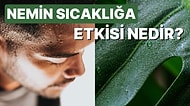 İnsanı Hayattan Soğutan Nem Neden Hissedilen Sıcaklığı Arttırır?