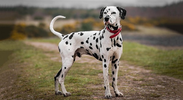 10. Ну не узнать будет очень странно...