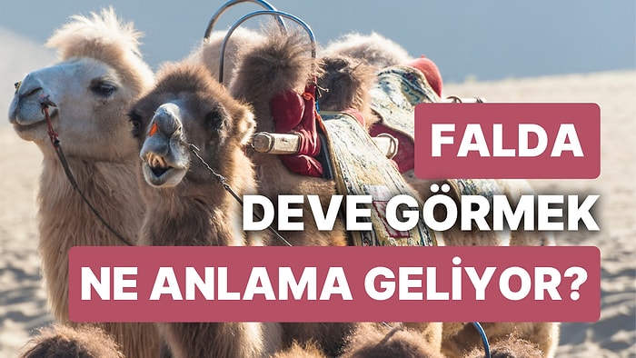 Falda Deve Görmek Ne Demektir? Hörgüç Dolusu Parayla Saadetiniz Ayağınıza Geldi!