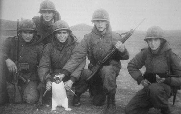 1. Falkland Savaşı sırasında penguenle poz veren Arjantinli askerler - 1982: